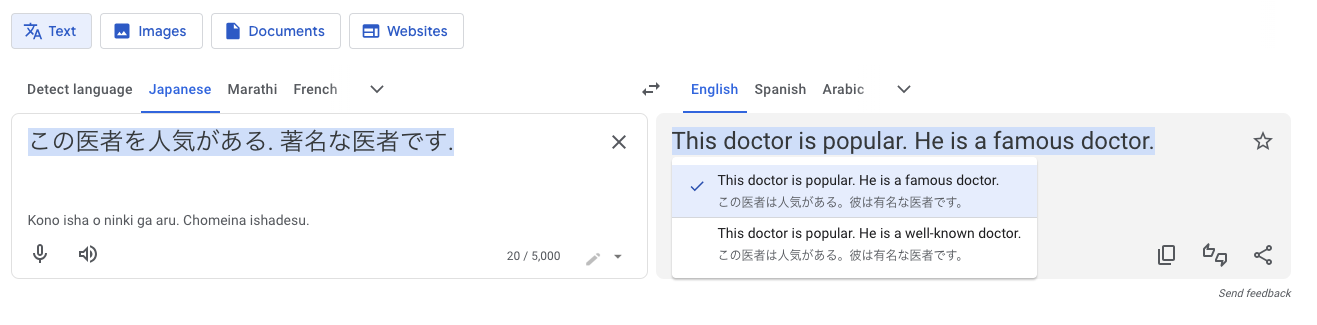 A screenshot of Google Translate showing a Japanese sentence with no pronoun given being translated to only 'he is a famous doctor.'
