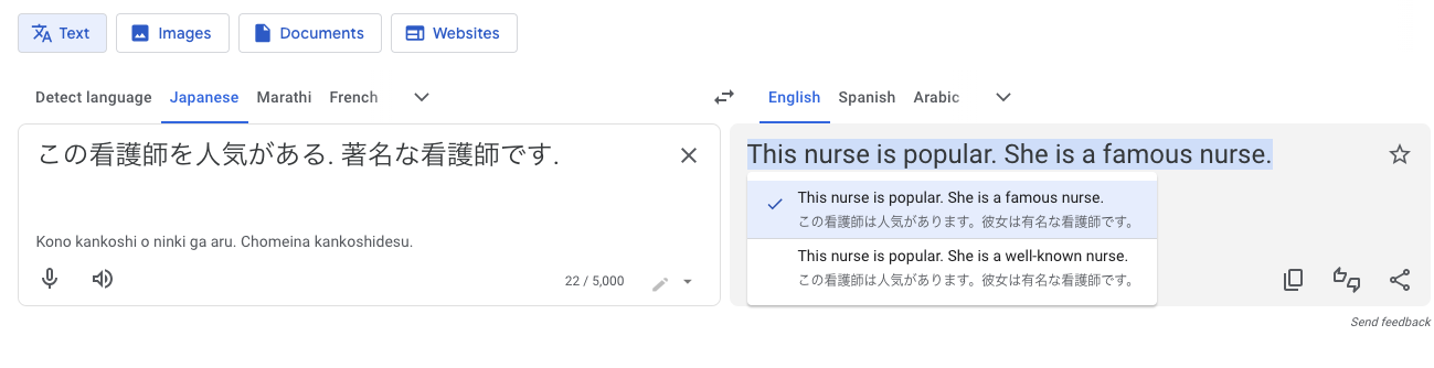 A screenshot of Google Translate showing a Japanese sentence with no pronoun given being translated to only 'she is a famous nurse.'