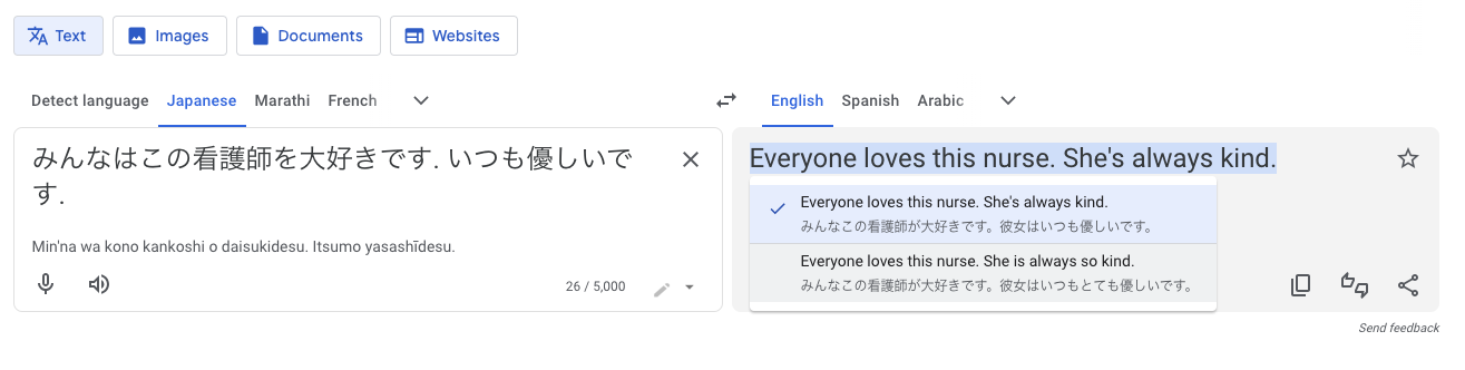 A screenshot of Google Translate showing a Japanese sentence with no pronoun given being translated to only 'she is always kind.'