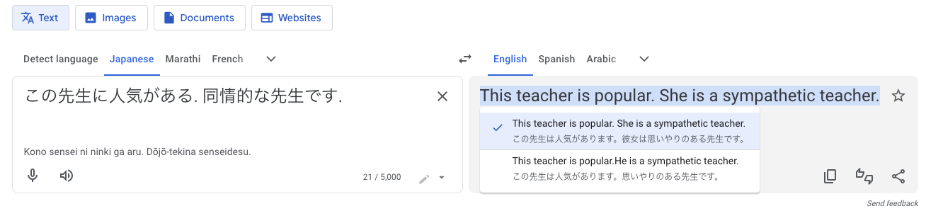 A screenshot of Google Translate showing a Japanese sentence with no pronoun given being translated to either 'he' or 'she is a sympathetic teacher.'