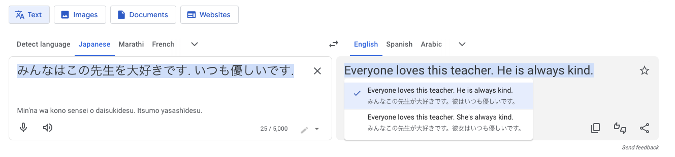 A screenshot of Google Translate showing a Japanese sentence with no pronoun given being translated to either 'he' or 'she is always kind.'
