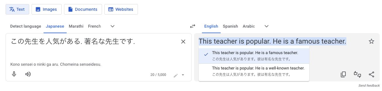 A screenshot of Google Translate showing a Japanese sentence with no pronoun given being translated only to 'he is a famous teacher'